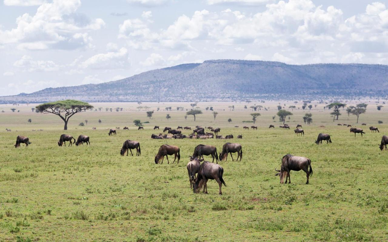 Ngorongoro Lodge Member Of Melia Collection - The Leading Hotels Of The World ภายนอก รูปภาพ